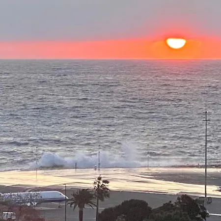 Panoramic Sea View - Terrace - Air Conditioning - 2 Bedrooms - Wifi - Kitchen - Tram * Nice